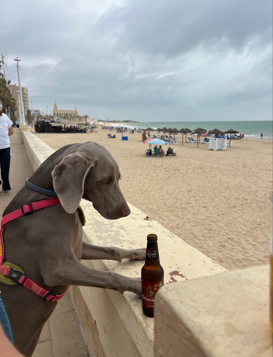mariasaaro's tweet photo. A alguien le encantó la playa🩶🍋‍🟩 https://t.co/cDjIJuBmW0