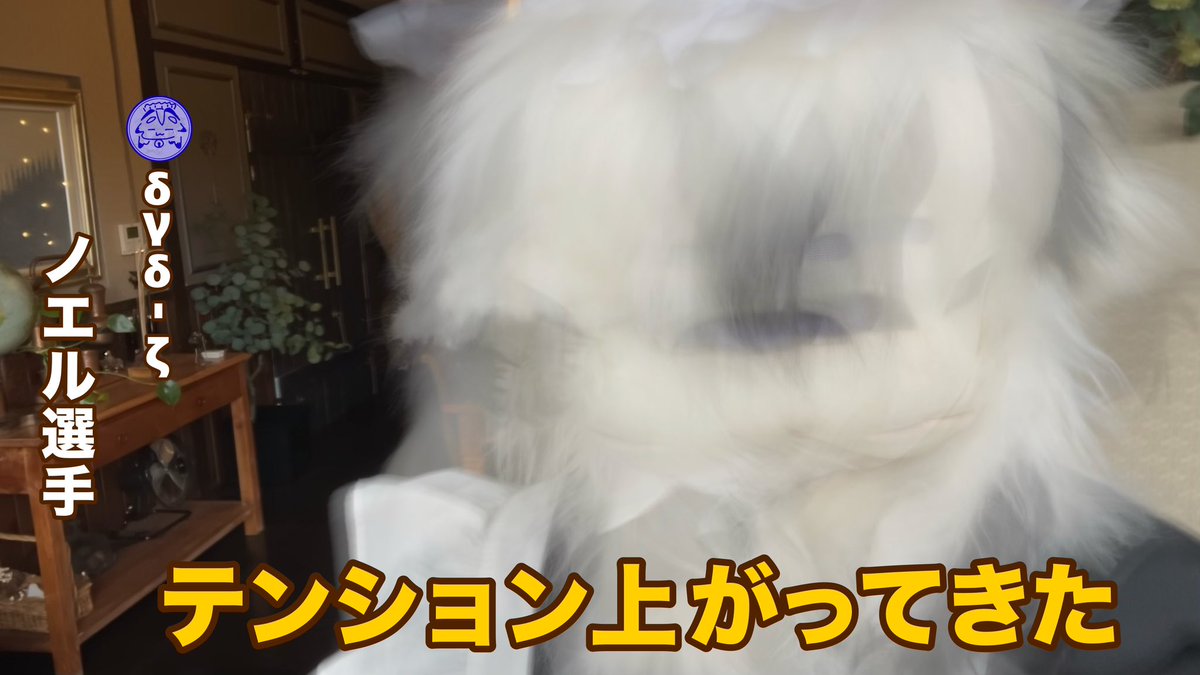 Helleborus_noel's tweet photo. メイドさんのお写真たくさんでテンションMAXですっっ！！ https://t.co/9p5wawAcr4