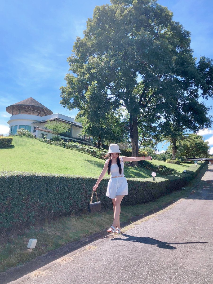 Hideko_Sunshine tweet media