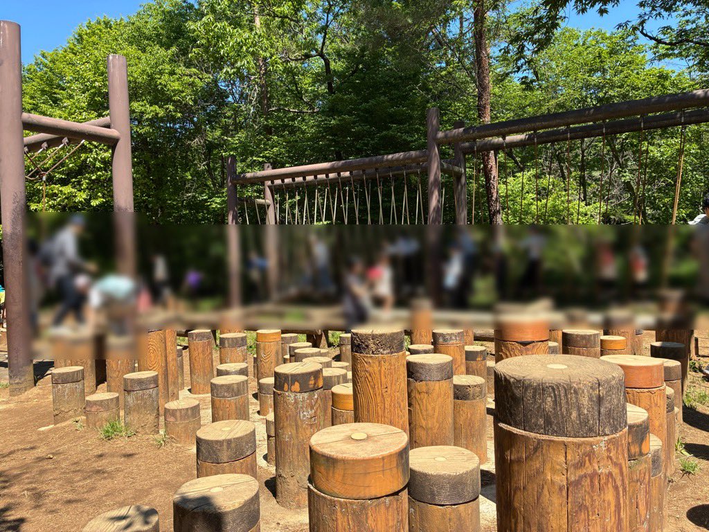 esron2854's tweet photo. 埼玉県の国営武蔵丘陵森林公園

広大すぎて一日では足りないは本当で、遊具と水遊び場を中心に遊んできた。

アップダウンのあるコースで子供が一人で自転車に乗れるようになってから行くのがオススメで親子で広大な緑の中を走るサイクリングがとても良かった。 https://t.co/BCS3CQ4wsB