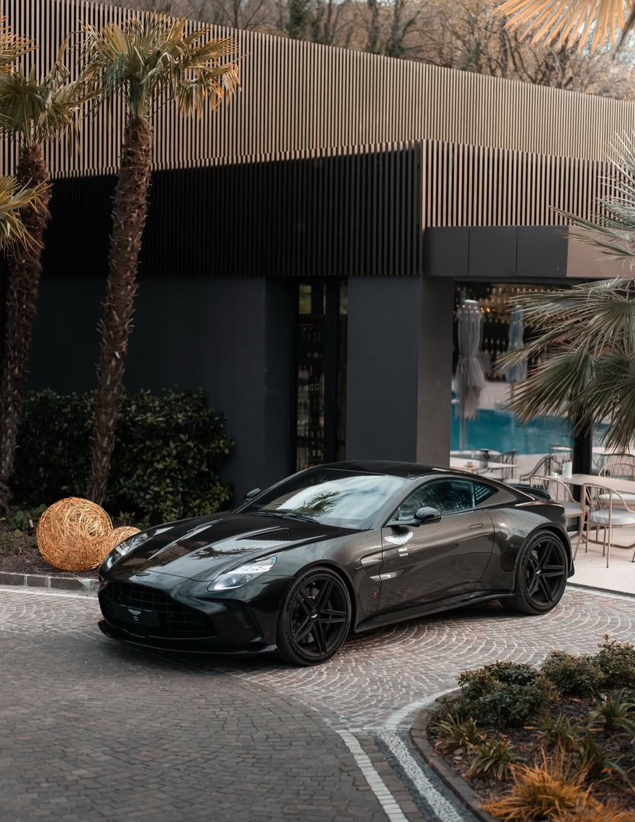 Elite Carsgasm tweet media
