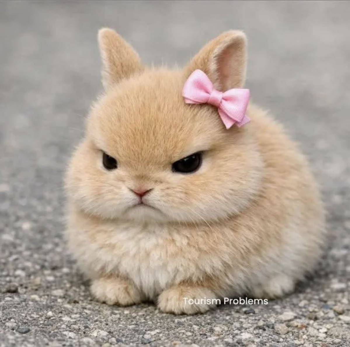 🐰 𝑇𝑜𝑘𝑘𝑖 키스 💋💋 (@_bunnykisses) on Twitter photo 
