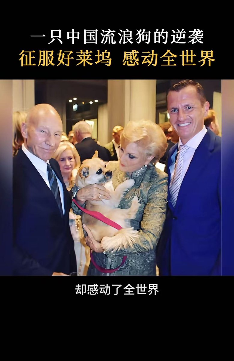 youaredegen's tweet photo. 一只流浪狗 最近有爆火了好莱坞都要把他们拍成电影 小狗名字叫戈壁，他在比赛的时候一直跟着一个运动员 他们两似乎产生了某种羁绊 无论运动员跑得多远 这个戈壁小狗一直陪着他跑

后来 这个运动员就带上了他一直跑 因为带回英国需要手续问题 就先把戈壁寄养在中国 后来戈壁走丢了 那个运动员直接回到新疆找了一个月，最终找到带回英国

现在好莱坞即将把他们的故事翻牌成电影，看哭了无数人