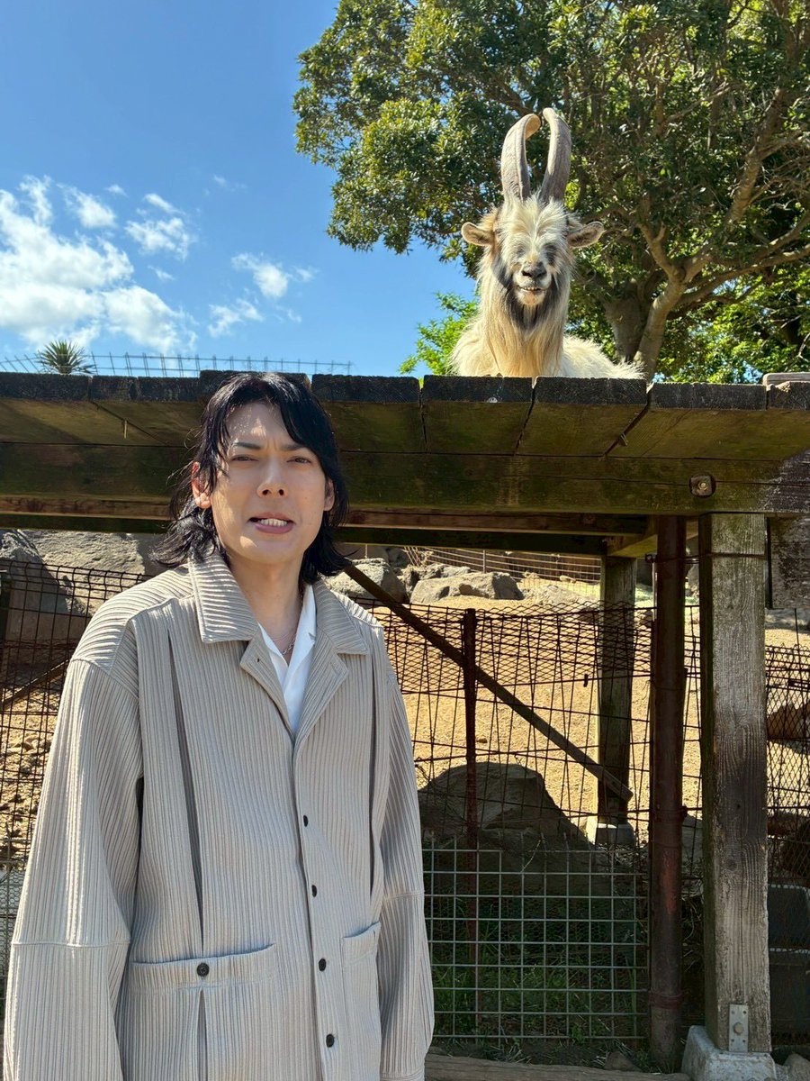 崎山つばさ tweet media