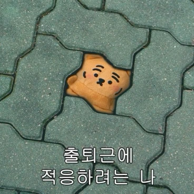 럭키밀 tweet media