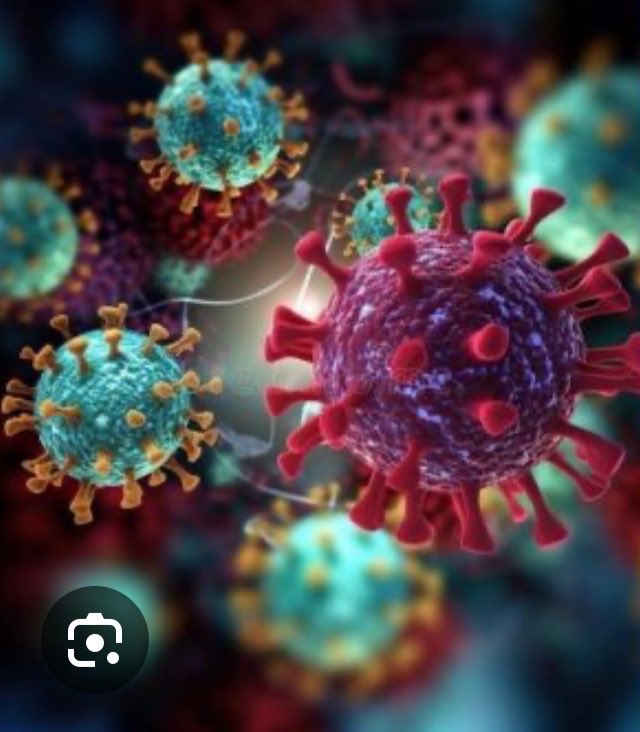 In response to the #hantavirus outbreak aboard the Hondius, the #WHO has implemented six urgent protocols: immediate isolation of confirmed cases, daily health monitoring of close contacts, temperature checks for 42 days, meticulous contact tracing, passenger categorization by