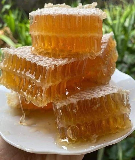 Dessert Diaries tweet media
