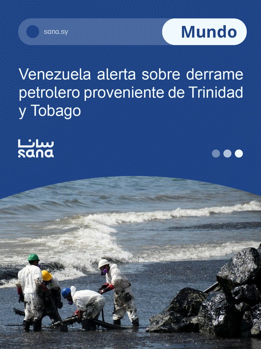 SANA en Español tweet media