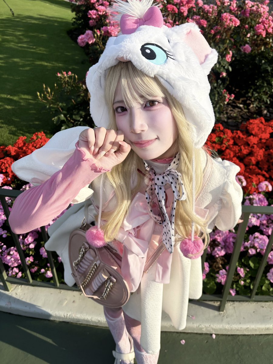 (̳ˆ_  ̫ _ˆ ̳)∫🎀𝄞꙳