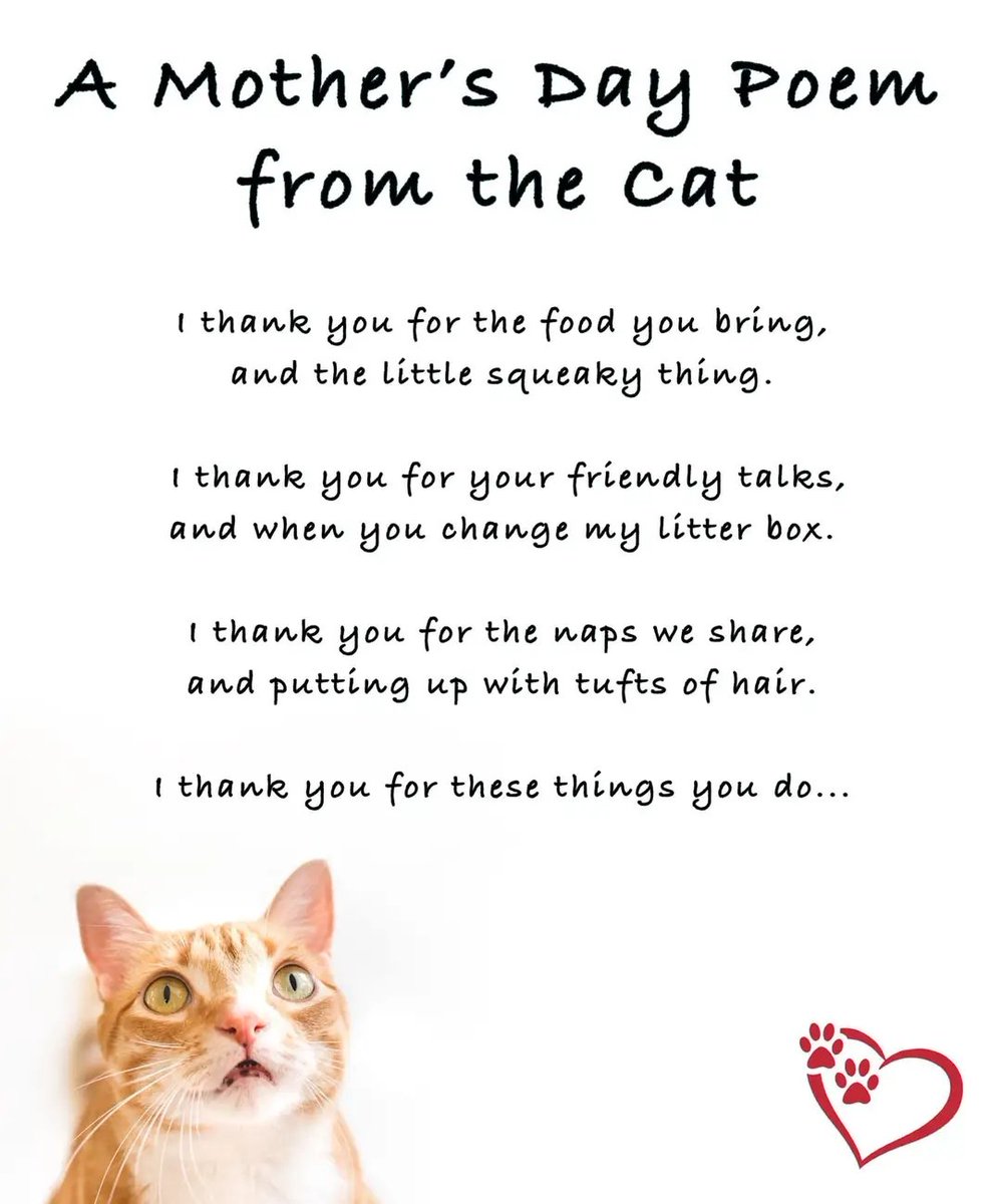 Thepetsonly's tweet photo. Happy mother day 🙏❤️ https://t.co/CFGE5h6lYv