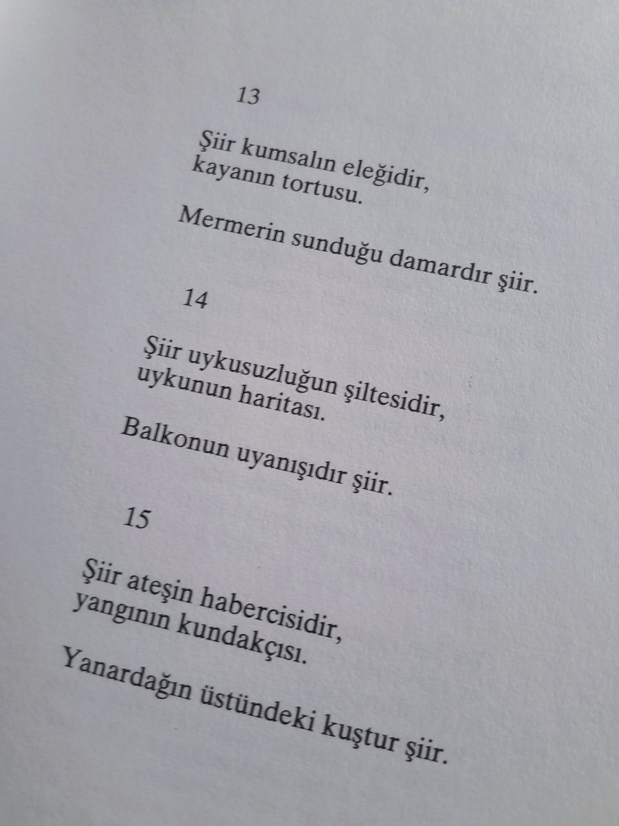 orhan haşim elmalı tweet media