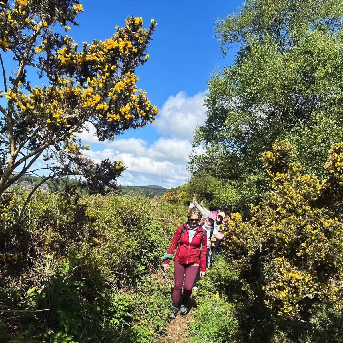 StDeclansWay's tweet photo. A beautiful finish to Stage 4. From Mount Melleray to Lismore, a wonderful start to the summer season.

#stdeclansway #Irishcamino https://t.co/umU0f1wLhF