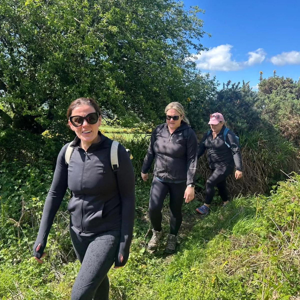StDeclansWay's tweet photo. A beautiful finish to Stage 4. From Mount Melleray to Lismore, a wonderful start to the summer season.

#stdeclansway #Irishcamino https://t.co/umU0f1wLhF