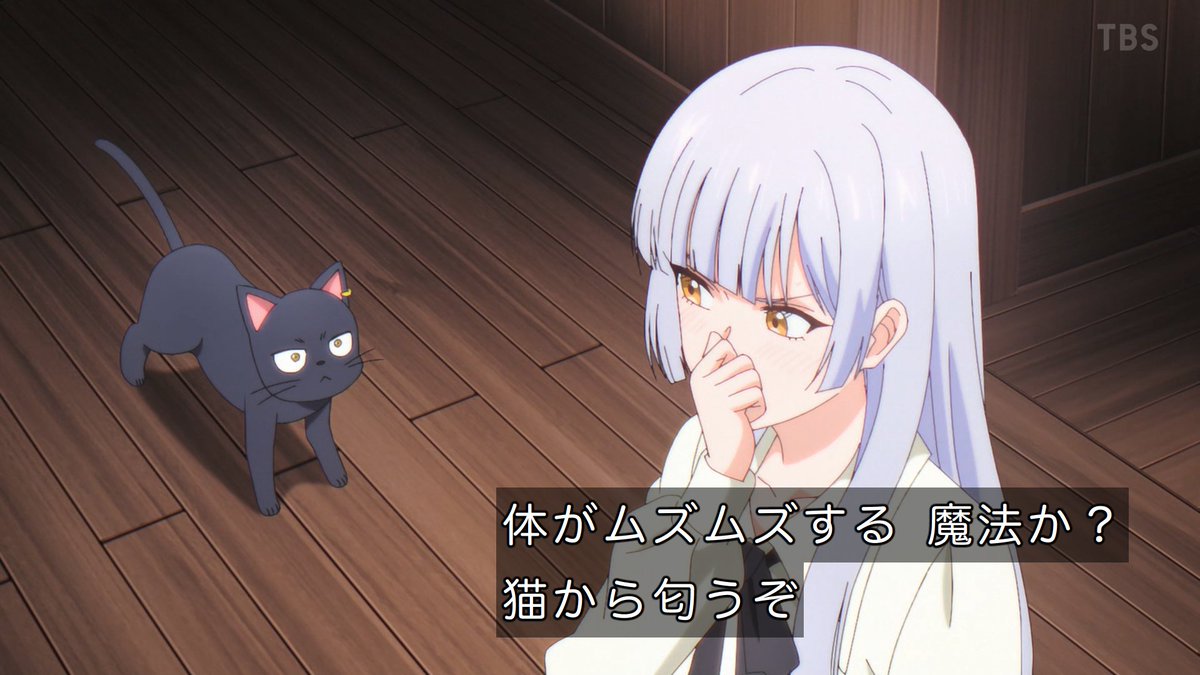 猫魔女 #黒猫と魔女の教室 #tbs