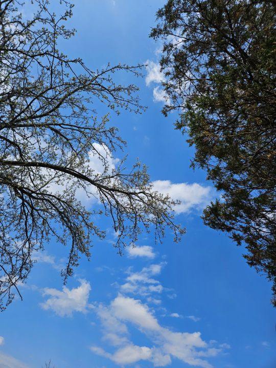 Lethallansday's tweet photo. Art of the Day! "Blue sky's of spring". Buy at: https://t.co/kB5kcje3YX https://t.co/YCrJM6GvDs
