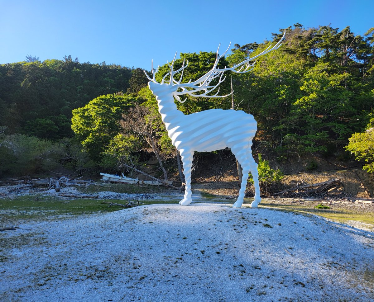 White Deer (雄鹿) 作:名和 晃平 白いシカさん観てきました 晴れ