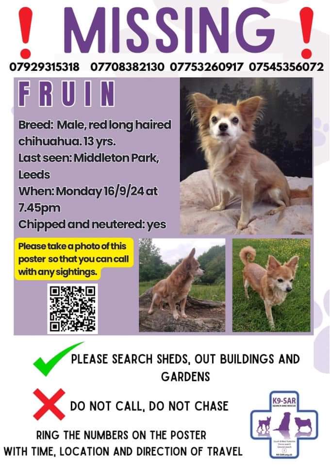 MissingPetsGB's tweet photo. Fruin is still missing
He may still be outside somewhere
He may have been taken in by someone who does not have social media
Do you have any information to his whereabouts?REWARD OFFERED
Last seen Middleton #LEEDS #LS19 after being spooked by fireworks nearby #stolendoghour https://t.co/aRJ7S8xsn0