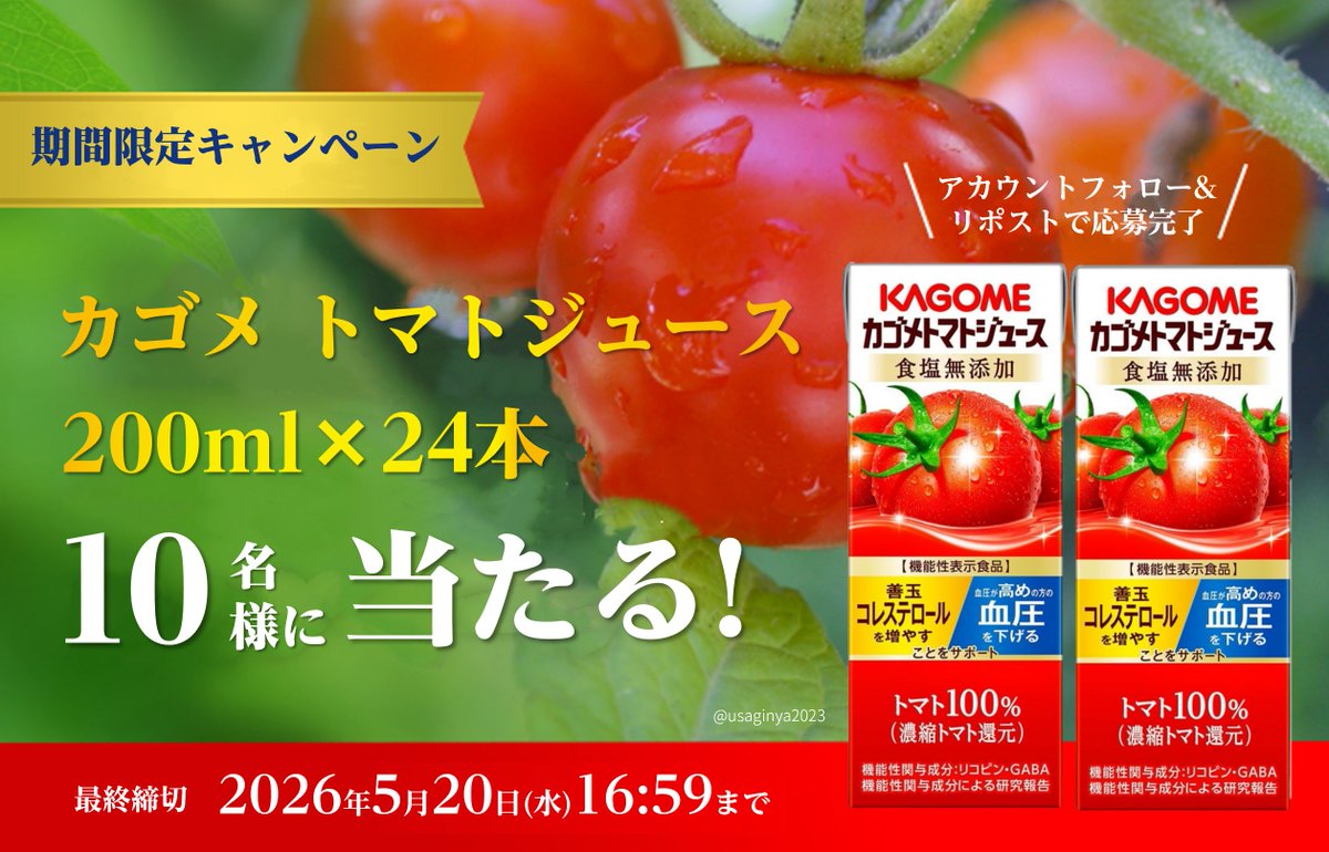 ウサギニャ【公式】 tweet media