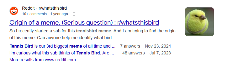 TennisBird Coin tweet media