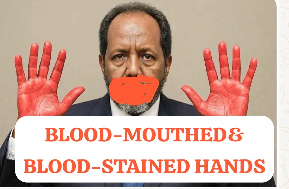 GeesiJibril's tweet photo. HE WAS THE MOST MERCILESS PRESIDENT IN THE WORLD”

THE INTERNATIONAL CRIMES COMMITTED BY HASSAN SHEIKH MOHAMUD ARE MATTERS THAT REQUIRE INVESTIGATION AND ACCOUNTABILITY

The events that have taken place demonstrate actions that seriously violate the principles of governance,the constitution and the fundamental rights of Somali citizens.

1- SYSTEMATIC DESTRUCTION OF CIVILIANS’ PROPERTY

Homes and properties that citizens had legally occupied for many years were destroyed by government forces and bulldozers, without due legal process or compensation for the affected people.

2- FORCED DISPLACEMENT AND HOMELESSNESS OF CIVILIANS

Children, women, and elderly people were forced into homelessness and thrown onto the streets without any resettlement plan or humanitarian assistance.

3- VIOLATION OF THE CONSTITUTION AND NATIONAL LAWS

There are serious allegations involving the violation of constitutional rights and the abuse of lawful state procedures.

4- DAMAGE TO THE FEDERAL SYSTEM

Political and administrative actions have been accused of undermining unity and weakening trust between the Federal Government and the Federal Member States.

5- EROSION OF PUBLIC TRUST

These actions have increased fear, anger, and distrust among the Somali people toward state institutions.
•The Somali people deserve a government that protects their dignity, property, and constitutional rights, instead of using state power for intimidation and abuse.