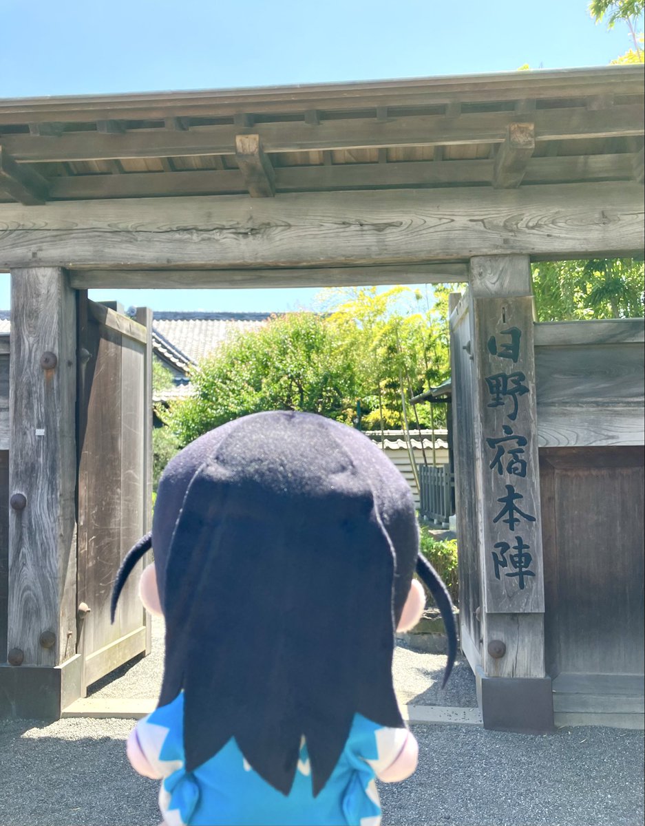 葵 tweet media