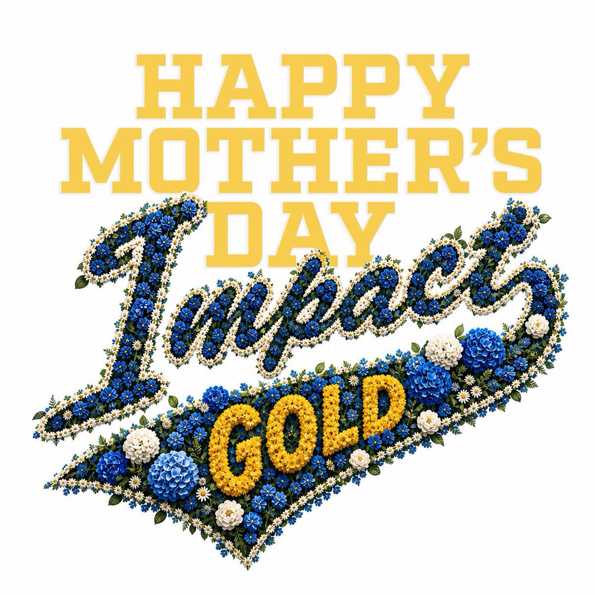 Impact Gold Fastpitch tweet media