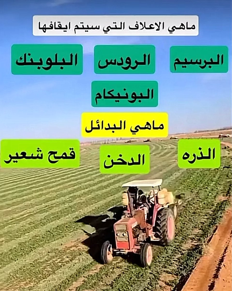 عساس الحدود tweet media
