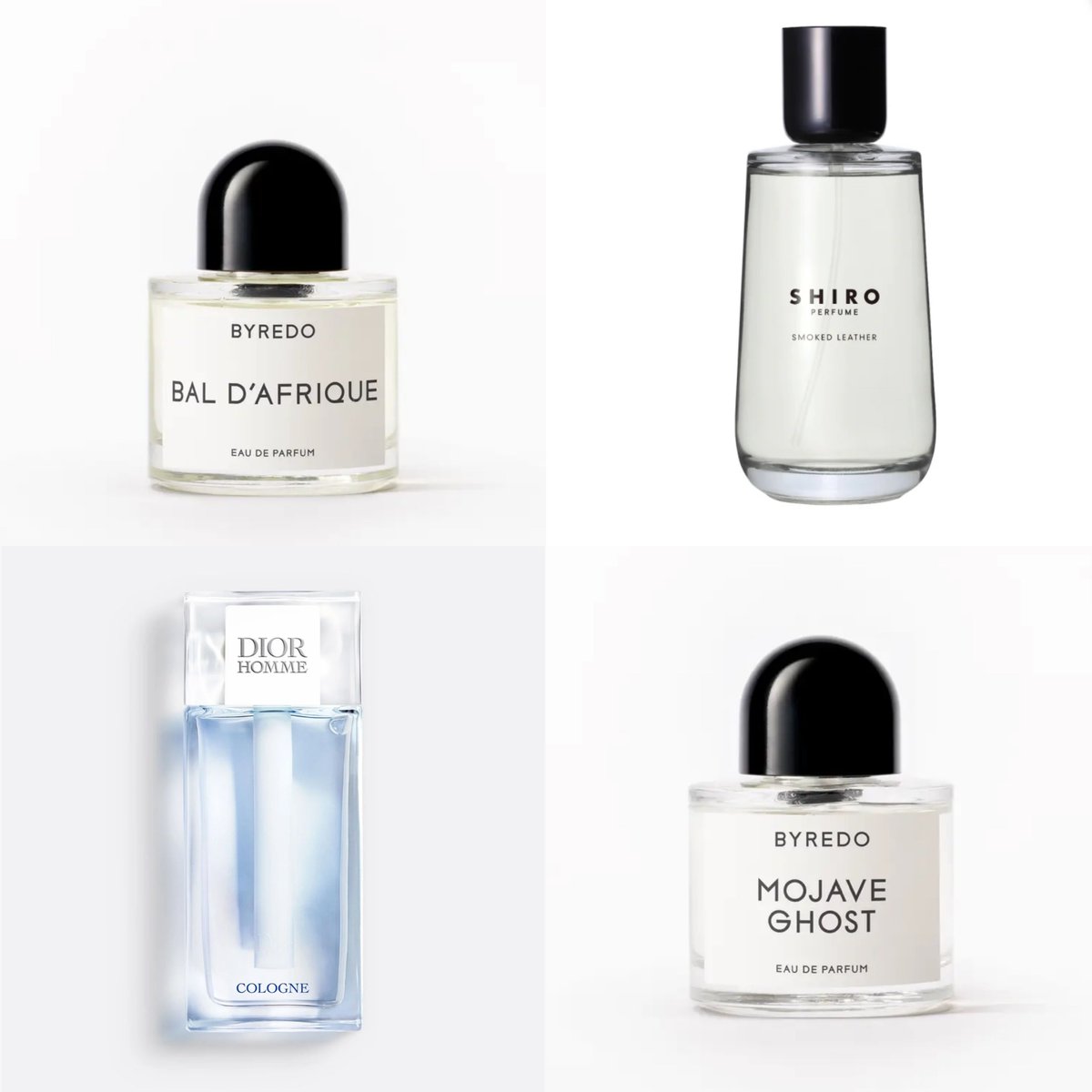 DONGYEON's Perfume Collection ☀️Byredo — Bal d'Afrique 🖤SHIRO