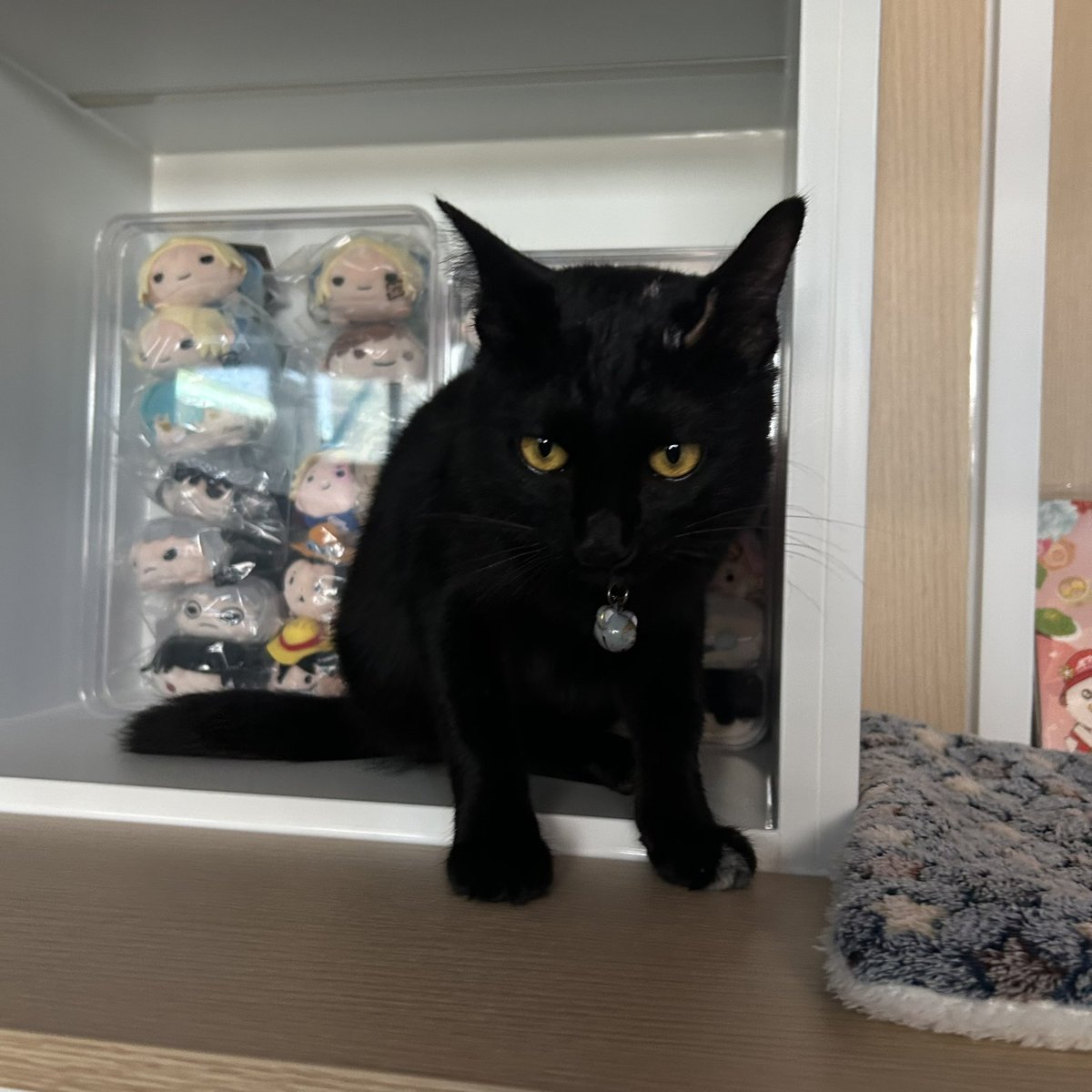 lilyne ഒ tweet media