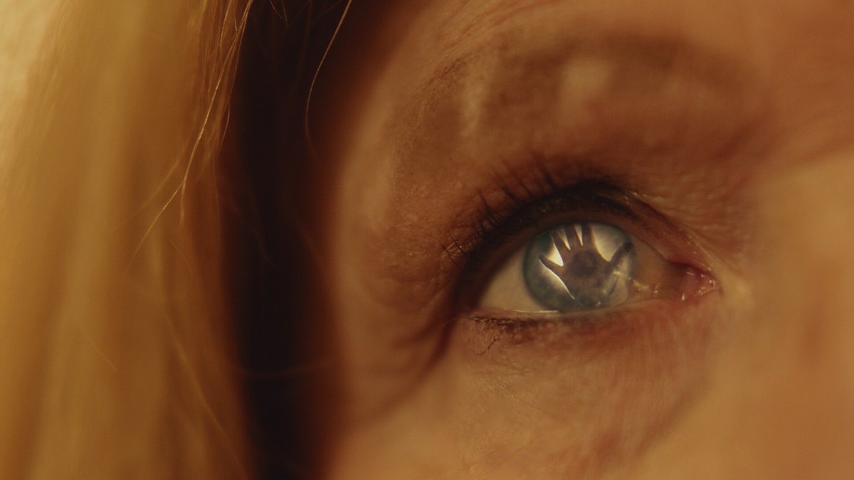 AestheticaFilmFest tweet media