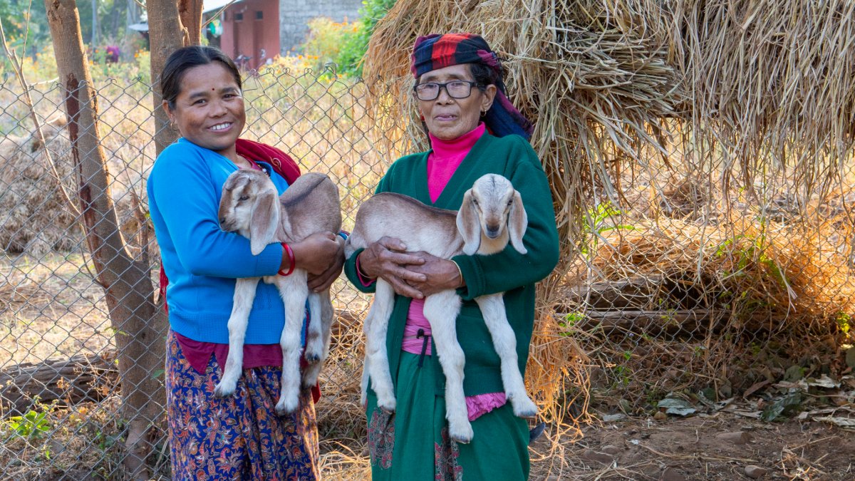 Heifer International tweet media