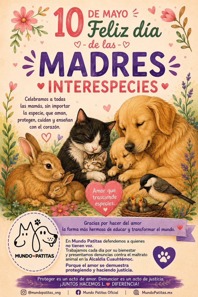 Mundo Patitas AC tweet media