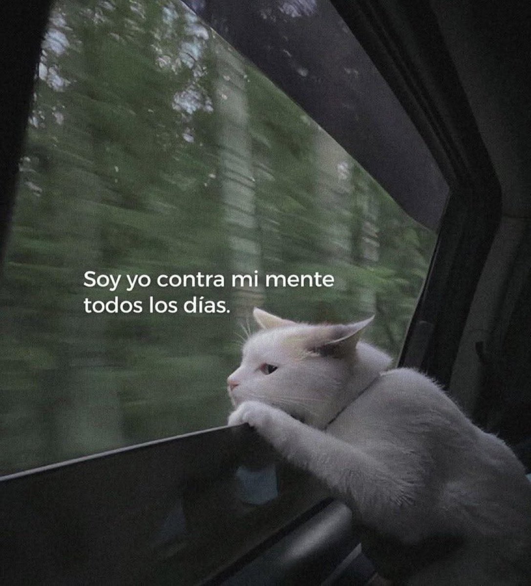 ᴊᴜᴀɴғʀᴀ ʜᴏᴍs (@juanfhoms) on Twitter photo 