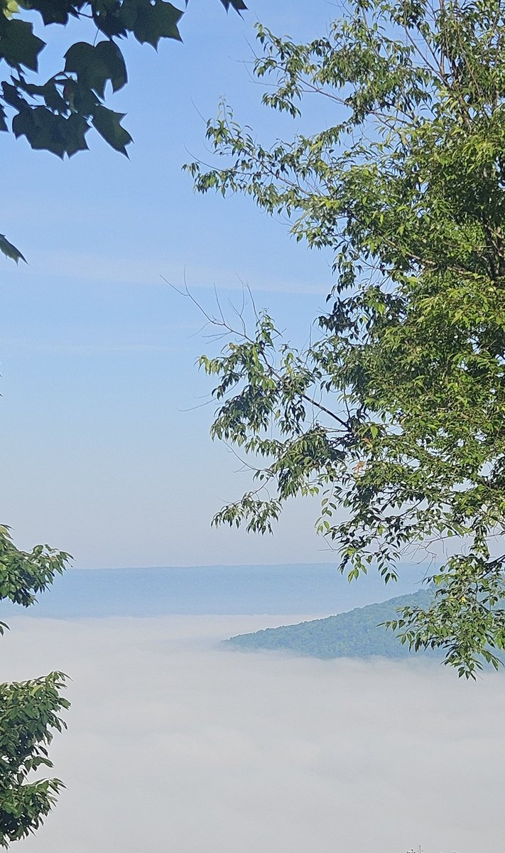 connie56's tweet photo. Walking along the bluff's rim, it's tricky to get a full view of that 🏴dragon's work. Trees are so leafed out, they hide the full extent of the inversion. Oops, dragon's breath. 😉 SE Tenn #StormHour #mountains #inversions #folklore #trees #writerslife https://t.co/Kt5qWuX112
