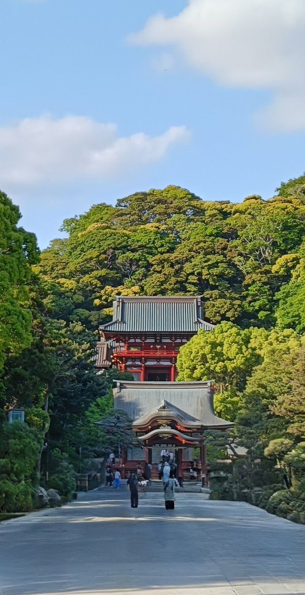 ruby__0727's tweet photo. 久々に鎌倉！
滞在時間2時間だけど🤣
せっかくなので鶴岡八幡宮でおみくじ引いたら大吉だった✨最近凹んでたから泣きそう。ありがたい。ちょい勇気もらってご縁を結んで帰ってきました🕊️ https://t.co/pKs3nO8ChV