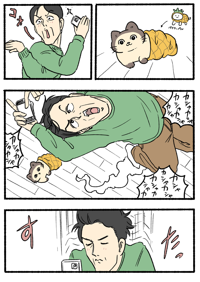 ねこおじ様 ねこに転生したおじさん。その951