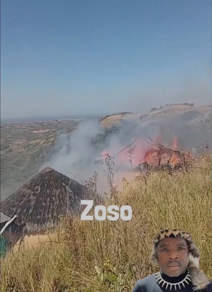 zizipho tweet media