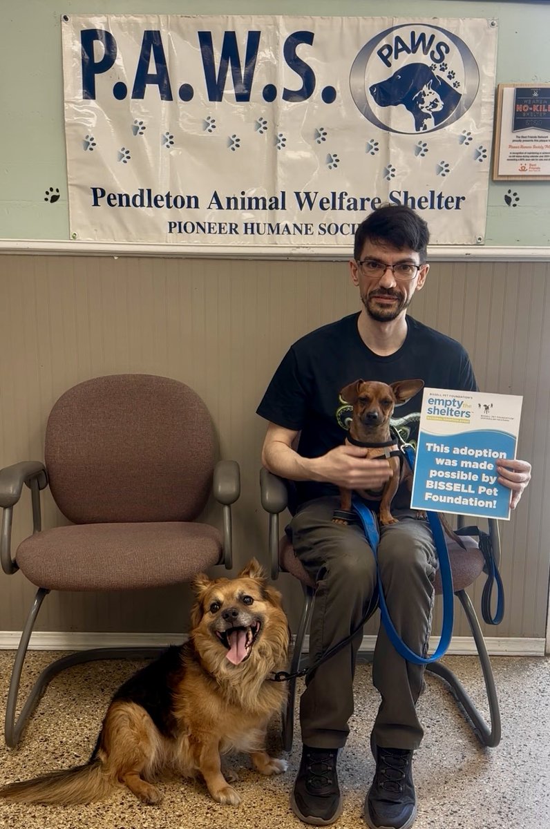 PAWSPendletonOR's tweet photo. Yesterday was a GREAT day for small dog adoptions! Happy Adoption Day to Chewy and to Sadie! Our adoption fees during @BISSELLPets 's #EmptyTheShelters are $70 for adult dogs and $35 for adult cats. Now through May 17th! Don't miss out. Tell your friends! 

#dogs #ADOPTdontshop https://t.co/tnC3uS4jmN