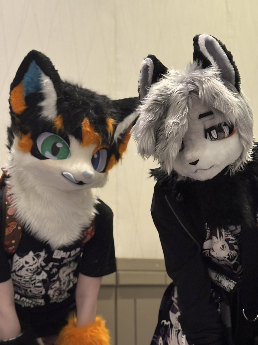 rem/ Megaplex26 tweet media