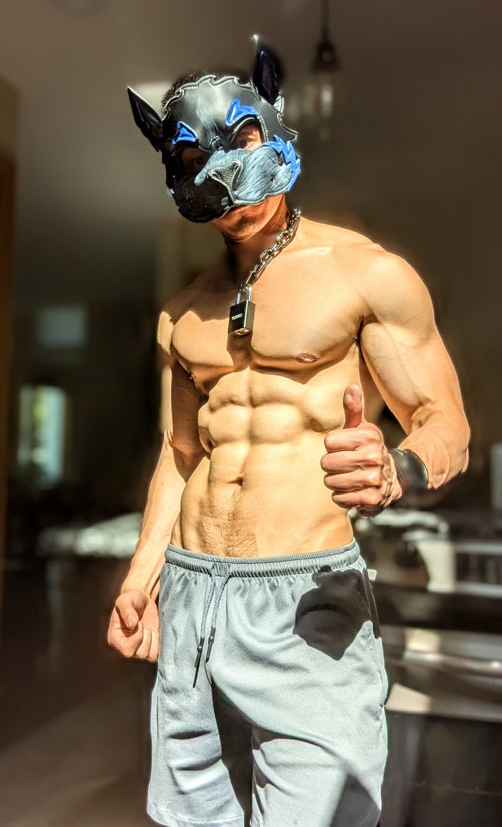 WolfPup Turbo tweet media