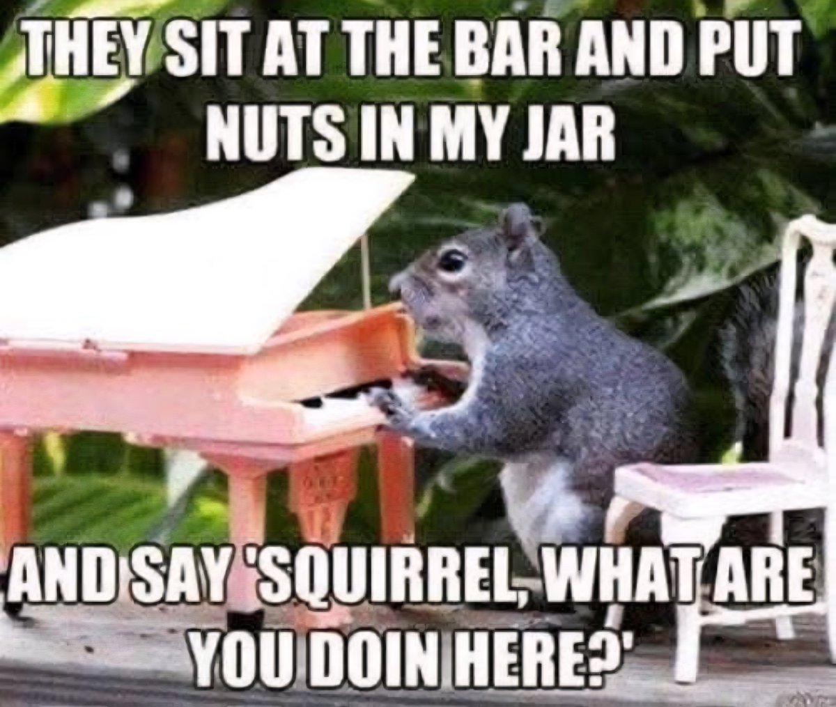 softtail65's tweet photo. La, la-la, di-di-da, La-la, di-di-da, da-dum...😅🎶🤣 https://t.co/hB09dU20Ki