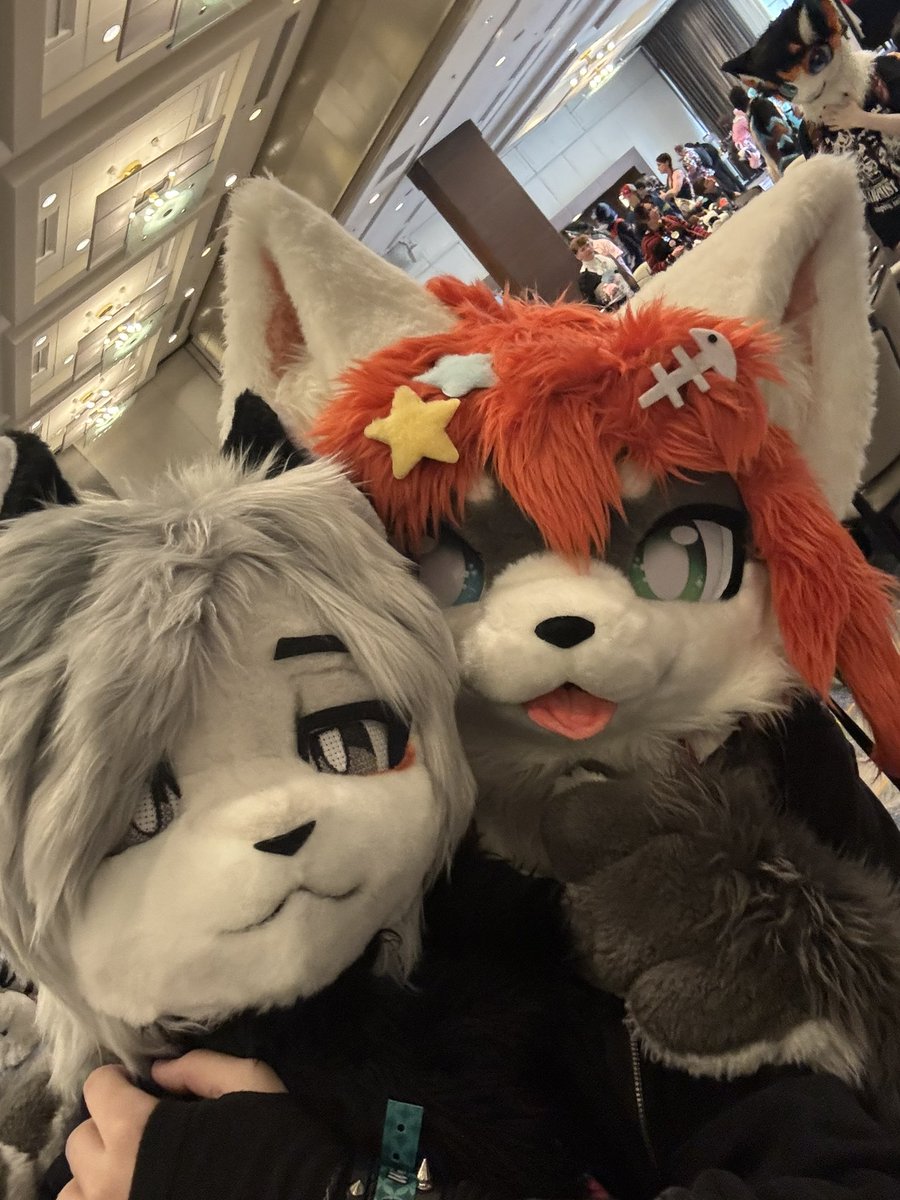 rem/ Megaplex26 tweet media