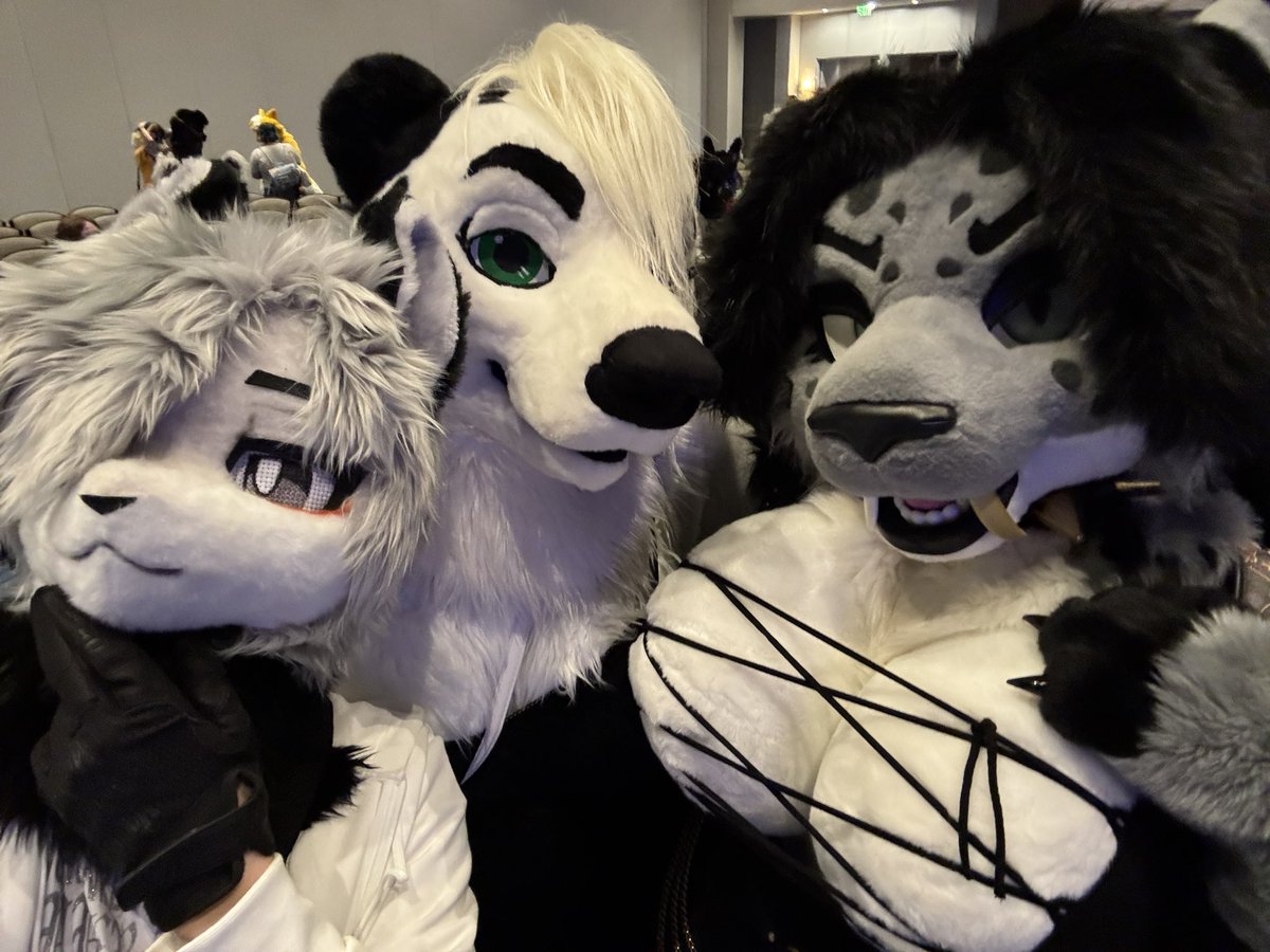 rem/ Megaplex26 tweet media