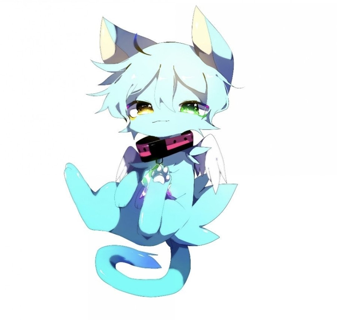 파냥씨 tweet media