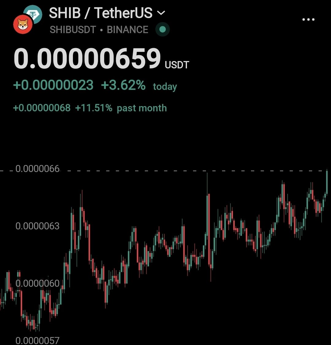 $SHIB KNIGHT tweet media