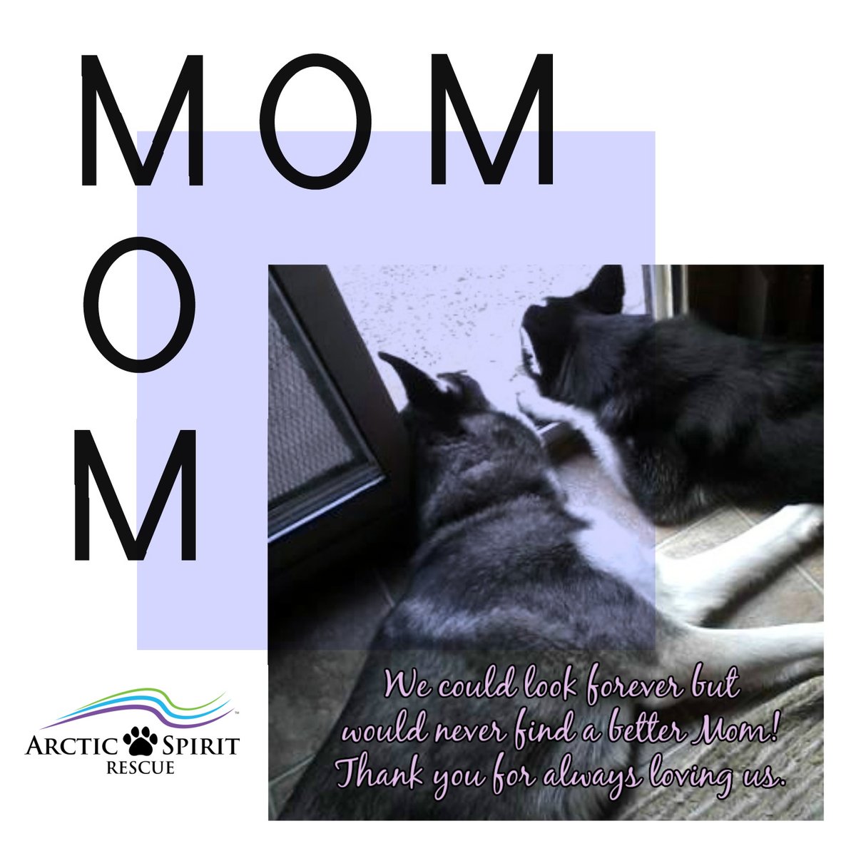 Arctic Spirit Rescue tweet media
