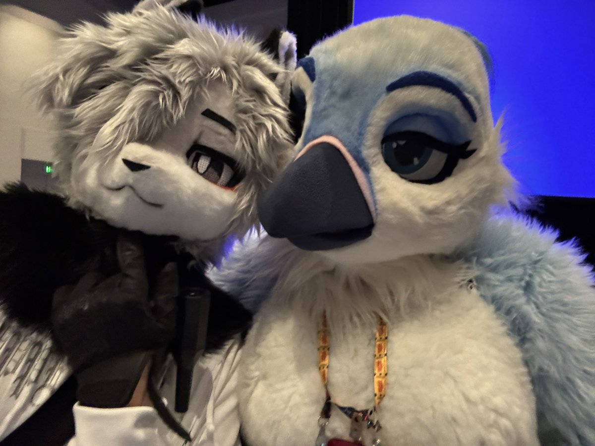 rem/ Megaplex26 tweet media