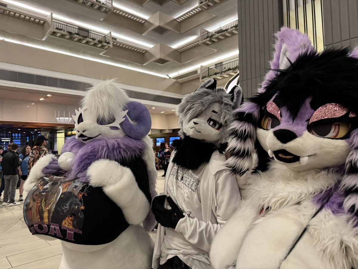 rem/ Megaplex26 tweet media
