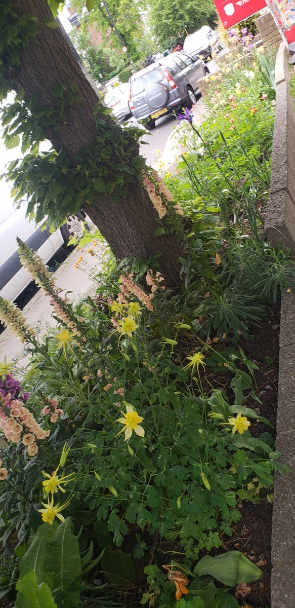 Garrads Rd & neighbours SW16 tweet media