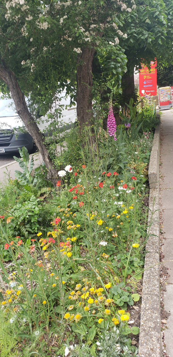 Garrads Rd & neighbours SW16 tweet media